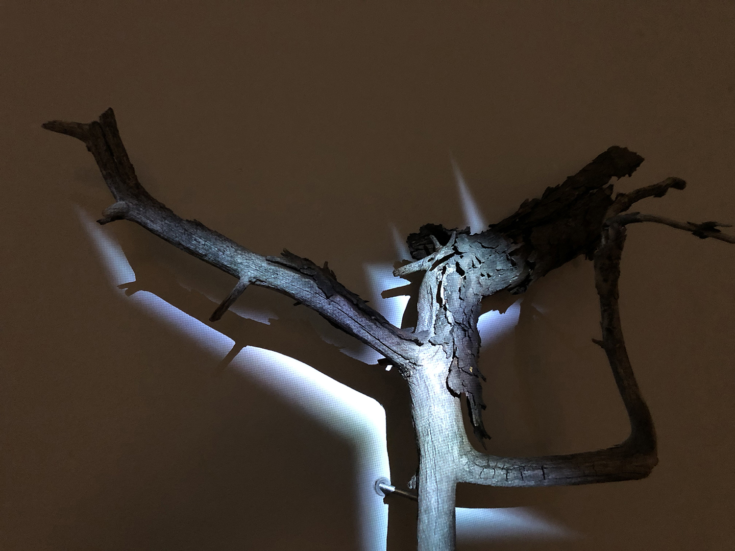 mi-duncker-instal-påeten1