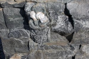 mi-duncker-publicart-liianpainavatvieraat11