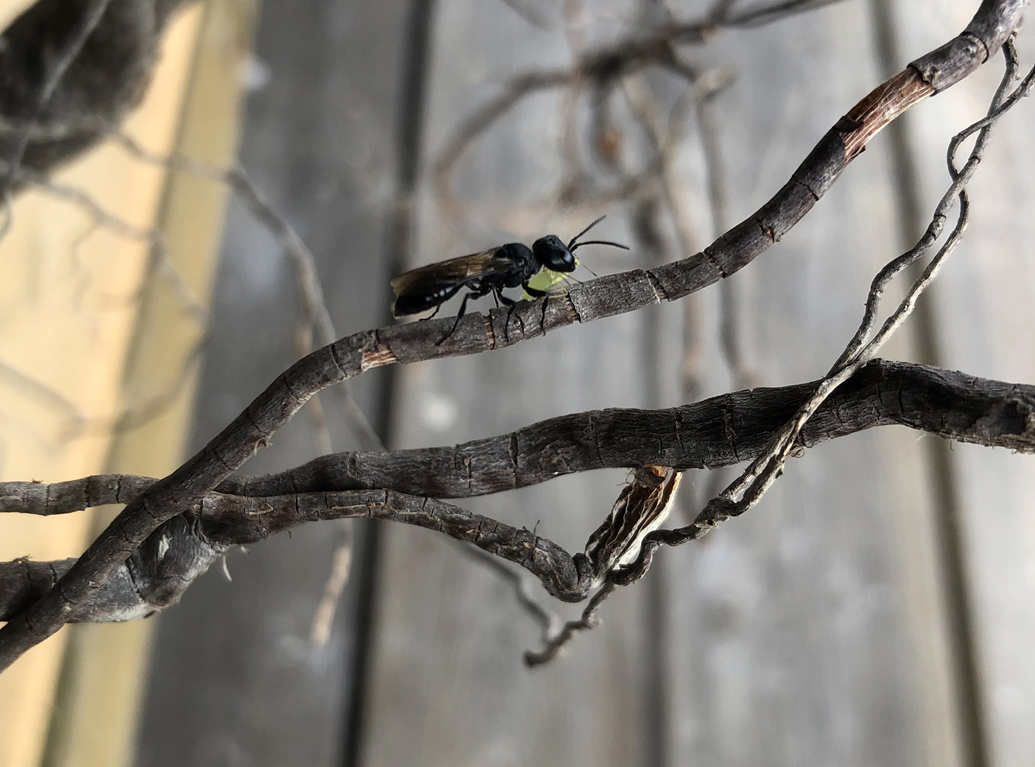 mi-duncker-install-juuri-10