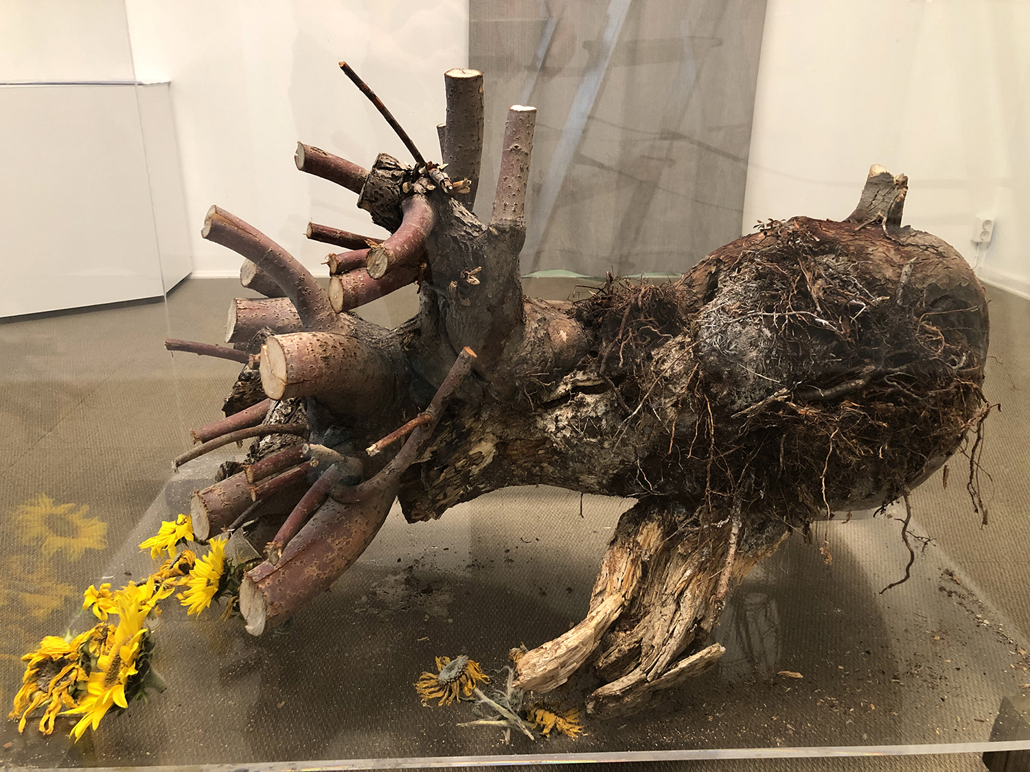 mi-duncker-install-juuri-11