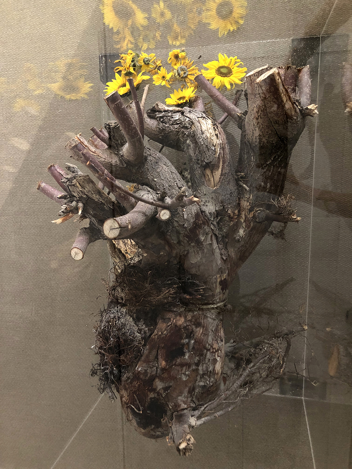 mi-duncker-install-juuri-12