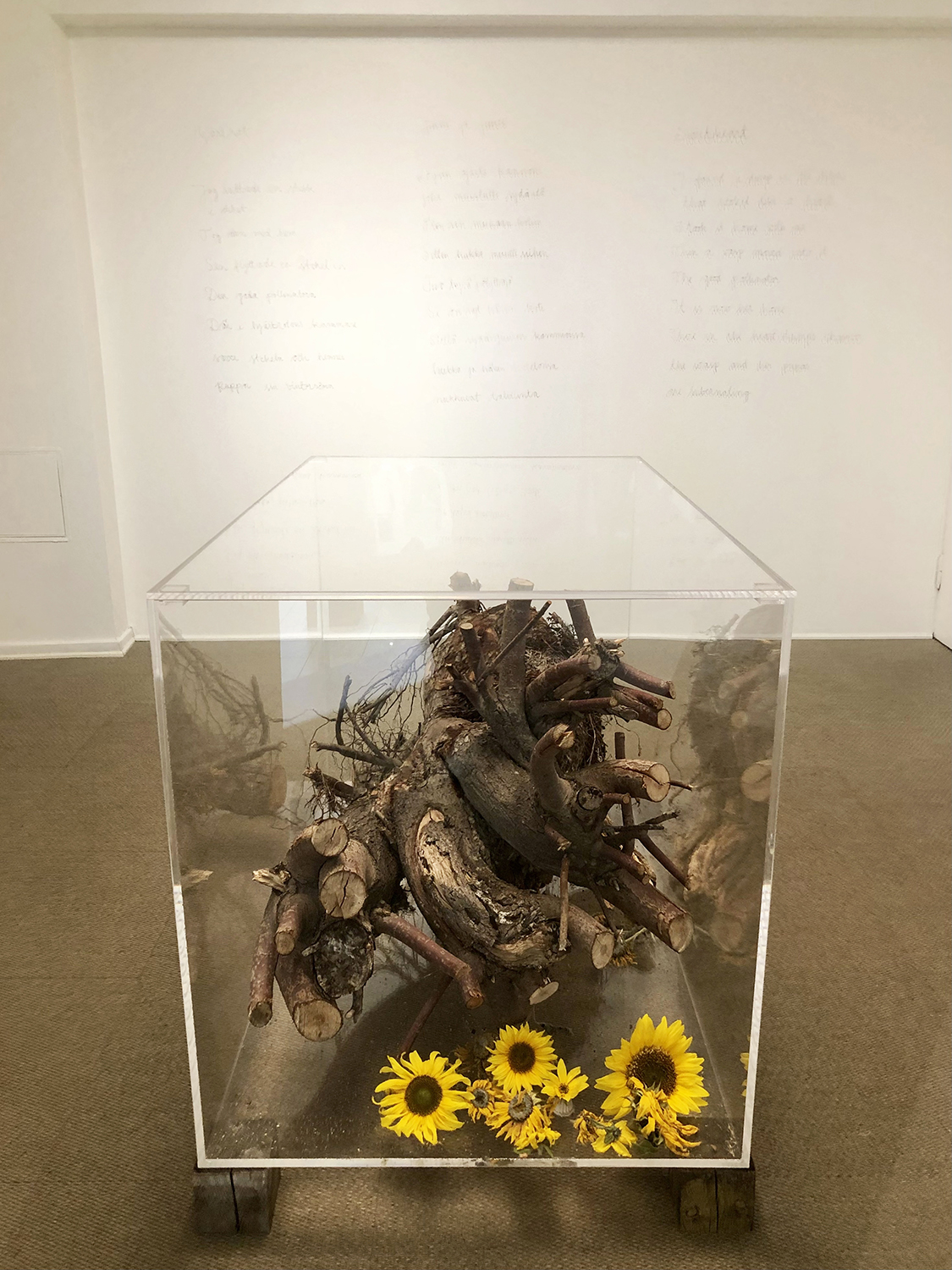 mi-duncker-install-juuri-13