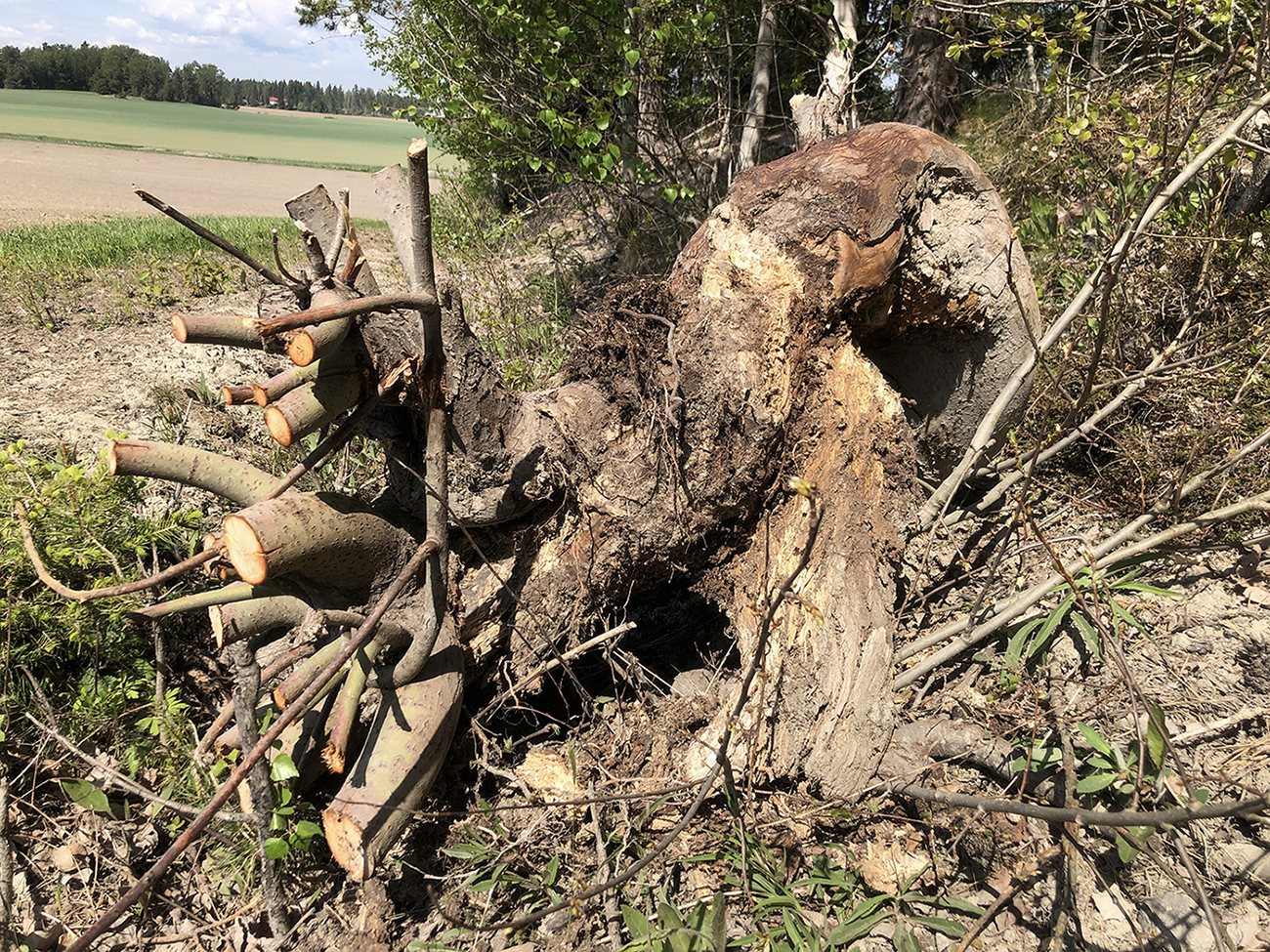 mi-duncker-install-juuri-6