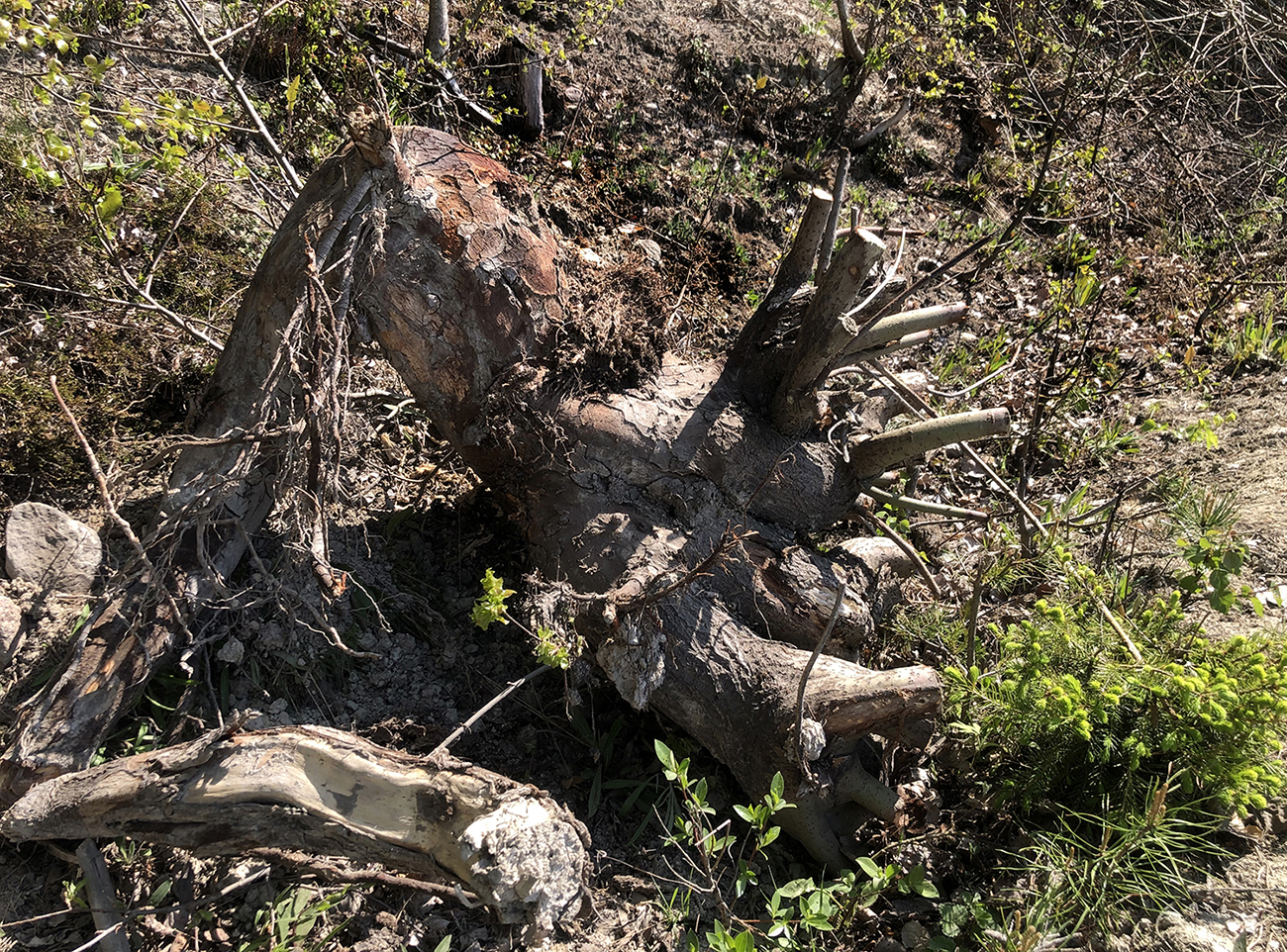 mi-duncker-install-juuri-7