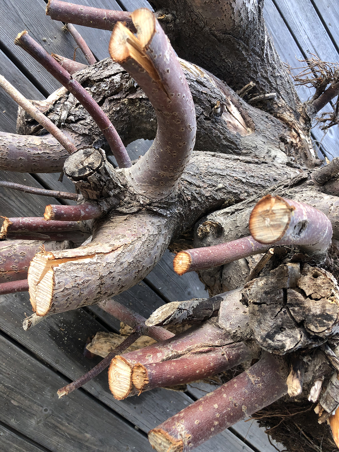 mi-duncker-install-juuri-9